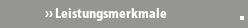 Leistungsmerkmale